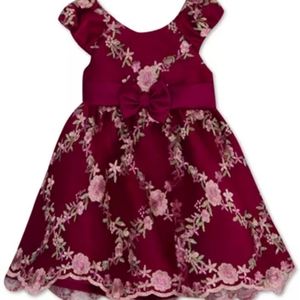 Beautiful Rare Editions holiday baby dress